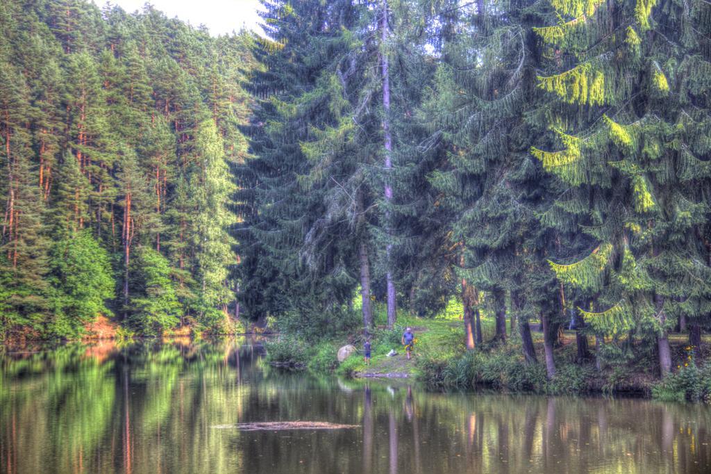 فيلا The Hideaway Želiv المظهر الخارجي الصورة