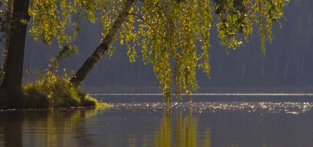 فيلا The Hideaway Želiv المظهر الخارجي الصورة